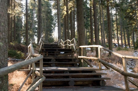 boubin kubova hut 2019