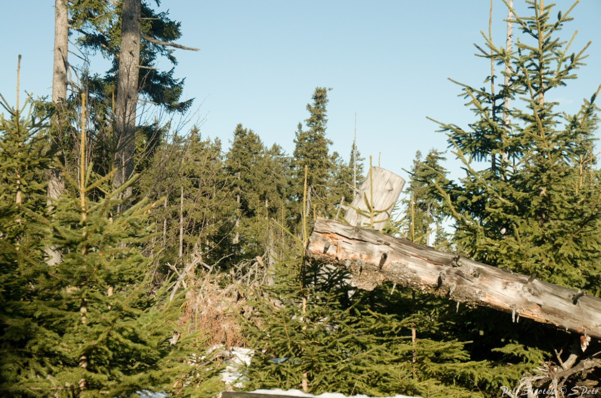 Boubín -Kubova Huť