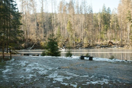 boubin kubova hut 2019