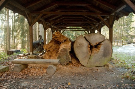 boubin kubova hut 2019