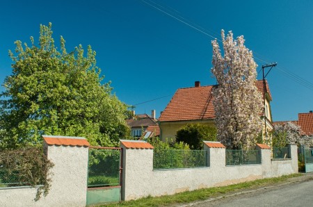 klucenice priroda kvetn2016