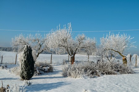 klucenice zahrada zima2022