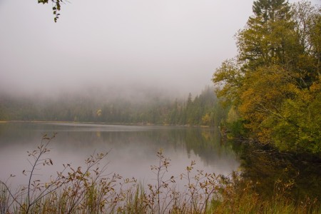 Plešné jezero v roce 2024 po 19 letech