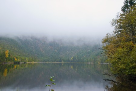 Plešné jezero v roce 2024 po 19 letech.