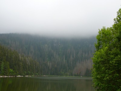 Plešné jezero v roce2005.