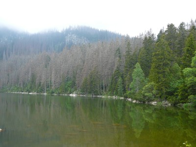 Plešné jezero v roce 2005.